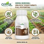Boronil | Premium Boron Ethanolamine Liquid Fertilizer (10% B) - Image 2