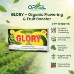 Glory Organic Plant Growth Promoter | Flowering & Fruit Setting Booster for Agriculture & Home Garden - Image 3