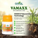 VAMAXX Mycorrhizal VAM Bio-Fertilizer (100g) – 120,000 IP/gm Highly Concentrated Root Growth Booster & Soil Amendment - Image 2