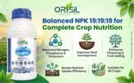 Ferticon NPK 19:19:19 Balanced Liquid Nano Emulsion Fertilizer with Natural Seaweed Extract & Chelated Micronutrients - Image 3