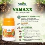 VAMAXX Mycorrhizal VAM Bio-Fertilizer (100g) – 120,000 IP/gm Highly Concentrated Root Growth Booster & Soil Amendment - Image 3