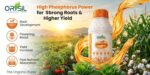 Ferticon NPK 10:34:00 Liquid DAP & Flowering Stimulant - Image 2
