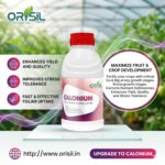 Calonium – Calcium Nitrate Fortified with Magnesium Liquid suspension (with Zn & B) - Image 2