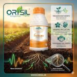 Ferticon NPK 03:50:50 Nano Emulsion Liquid Fertilizer - Image 2
