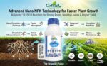 Ferticon NPK 19:19:19 Balanced Liquid Nano Emulsion Fertilizer with Natural Seaweed Extract & Chelated Micronutrients - Image 2