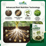 V-GROWTH Organic Bio-Stimulant – Plant Food with Essential Vitamins & Nutrients - Image 5