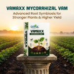 VAMAXX Mycorrhizal VAM Bio-Fertilizer (120,000 IP/gm) Highly Concentrated Root Growth Booster & Soil Amendment - Image 4
