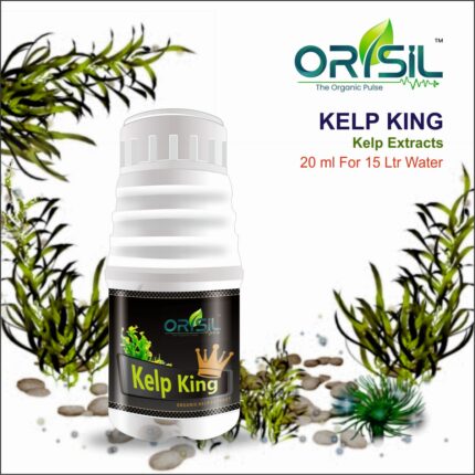 Sea Kelp Extract